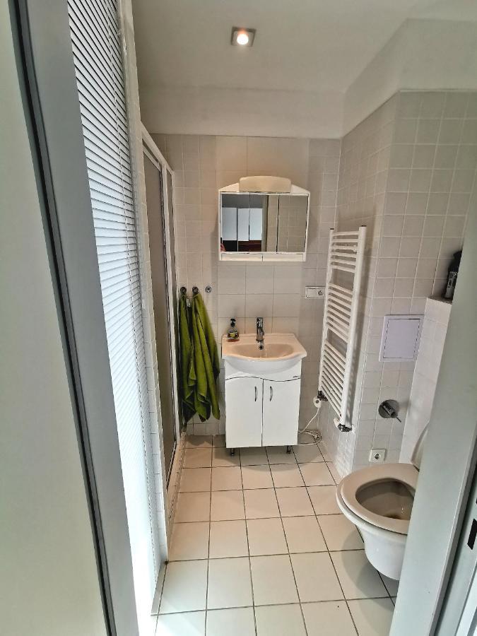 Apartman Mustang Klinovec Loucna pod Klinovcem Luaran gambar